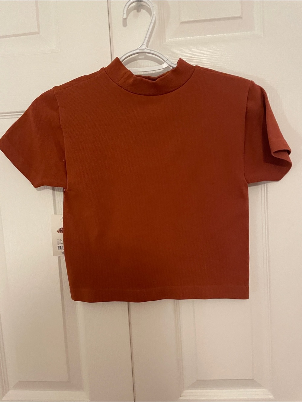 Classic Ribbed Crop Top in Rust - Picture 3 of 4